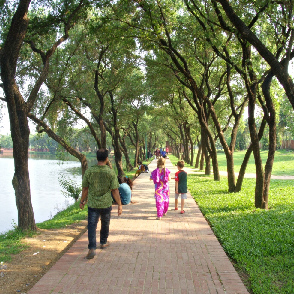 Walking through the grounds of the Banlgadesh National Martyrs' Memorial. A man and several childen walk along a path that is shaded on both sides by big beautiful trees.